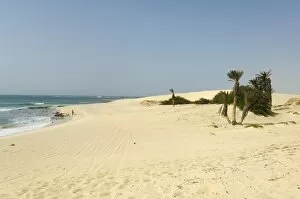 Praia Collection: Praia de Chaves (Chaves Beach), Boa Vista, Cape Verde Islands, Africa