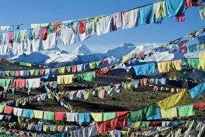 Himalaya Gallery: Prayer flags, Himalayas, Tibet, China, Asia