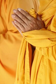 Images Dated 10th October 2009: Praying Buddhist monk, Thiais, Vale de Marne, France, Europe