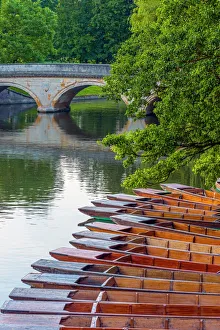 English Culture Gallery: Punts on the River Cam, The Backs, Cambridge, Cambridgeshire, England, United Kingdom