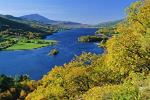 Queens View Print, a scenic landscape of Pitlochry