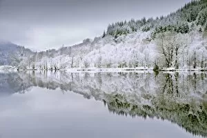 Images Dated 18th January 2016: Reflections on Loch Chon in winter, Aberfoyle, Stirling, The Trossachs, Scotland