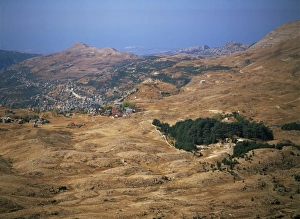 Ouadi Qadisha (the Holy Valley) and the Forest of the Cedars of God (Horsh Arz el-Rab)
Selection of 2 items Ouadi Qadisha (the Holy Valley) and the Forest of the Cedars of God (Horsh Arz el-Rab)
Selection of 2 items
