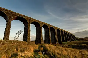 Prints of Ribblehead Viaduct, sunset, Yorkshire Dales National Park, Yorkshire, England, United Kingdom, Europe Railway Prints: Ribblehead Viaduct Print, Sunset Landscape