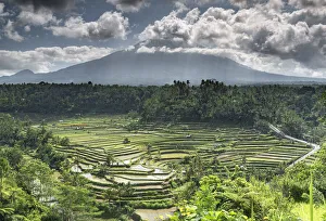 Rice terraces and fields with the Gunung Agung volcano in the background surrounded by clouds, Bali, Indonesia Rice terraces and fields with the Gunung Agung volcano in the background surrounded by clouds, Bali, Indonesia