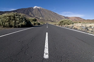 Road leading to El Teide volcano, Tenerife, Canary Islands, Spain, Europe Road leading to El Teide volcano, Tenerife, Canary Islands, Spain, Europe