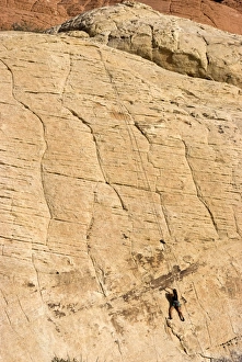 Rock climber, Red Rock National Conservation Area, Las Vegas, Nevada, United States of America Rock climber, Red Rock National Conservation Area, Las Vegas, Nevada, United States of America