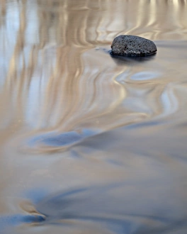 Rock in Oak Creek with ripples, Crescent Moon Picnic Area, Coconino National Forest Rock in Oak Creek with ripples, Crescent Moon Picnic Area, Coconino National Forest