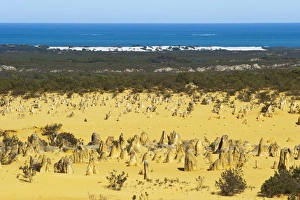 Rock pillars formed by erosion of thick hard layer of calcrete over soft limestone Rock pillars formed by erosion of thick hard layer of calcrete over soft limestone