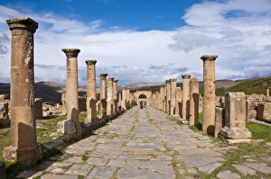 The Roman ruins of Djemila, UNESCO World Heritage Site, Algeria, North Africa, Africa The Roman ruins of Djemila, UNESCO World Heritage Site, Algeria, North Africa, Africa