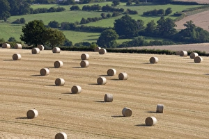 Round hay bales and Cotswold farmland at Wadfield farm, Winchcombe, Cotswolds Round hay bales and Cotswold farmland at Wadfield farm, Winchcombe, Cotswolds