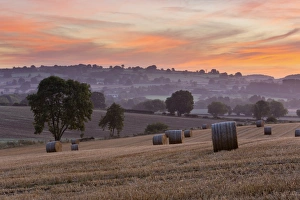 Round hay bales in stubble field at dawn, Chipping Campden, Cotswolds, Gloucestershire Round hay bales in stubble field at dawn, Chipping Campden, Cotswolds, Gloucestershire