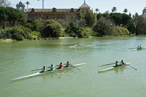 Related Images Gallery: Rowing on the river Rio Guadalquivir