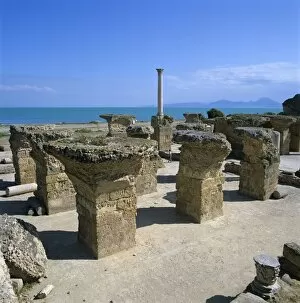 Amphitheatre of El Jem Collection: Ruins of ancient Roman baths, Antonine Baths, Carthage, UNESCO World Heritage Site