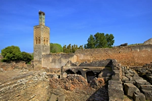 The ruins of Chellah with minaret, Rabat, Morocco, North Africa, Africa The ruins of Chellah with minaret, Rabat, Morocco, North Africa, Africa