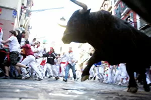 Bull Gallery: Running of the bulls (Encierro), San Fermin festival, Pamplona, Navarra, Spain, Europe