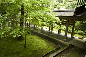 Ryoanji temple moss garden
