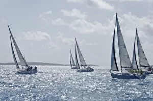 Related Images Gallery: Sailboat regattas. British Virgin Islands, West Indies, Caribbean, Central America