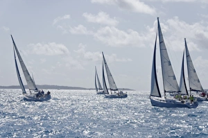 Related Images Gallery: Sailboat regattas. British Virgin Islands, West Indies, Caribbean, Central America