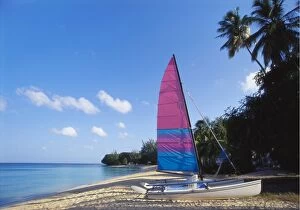 Sailing Boat Gallery: Sailing Boat on Paynes Bay, Barbados, Caribbean