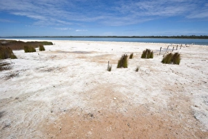 Salt and algal deposits at Lake Clifton, one of a string of coastal lakes south of Mandurah Salt and algal deposits at Lake Clifton, one of a string of coastal lakes south of Mandurah