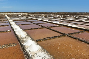 Salt pans still in use at El Carmen Salinas and Salt Museum on the east coast Salt pans still in use at El Carmen Salinas and Salt Museum on the east coast