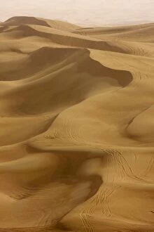 Images Dated 22nd February 2008: Sand dunes, Dubai, United Arab Emirates, Middle East