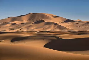 Related Images Collection: Sand dunes in the Erg Chebbi Desert Dunes, Western Sahara, Morocco, North Africa, Africa