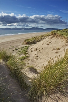 Sand dunes on Rossbeigh beach, Ring of Kerry, County Kerry, Munster, Republic of Ireland Sand dunes on Rossbeigh beach, Ring of Kerry, County Kerry, Munster, Republic of Ireland