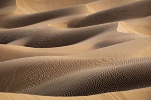 Sand dunes detail in the Rub al Khali desert, Oman, Middle East Sand dunes detail in the Rub al Khali desert, Oman, Middle East