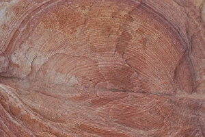 Detail of sandstone with circular rings, Valley of Fire State Park, Nevada Detail of sandstone with circular rings, Valley of Fire State Park, Nevada