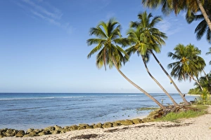 Savannah Beach, Bridgetown, Christ Church, Barbados, West Indies, Caribbean, Central Savannah Beach, Bridgetown, Christ Church, Barbados, West Indies, Caribbean, Central