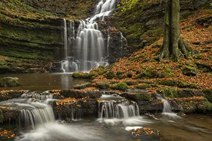 Scaleber Force waterfall in autumn, Yorkshire Dales National Park, Yorkshire, England Scaleber Force waterfall in autumn, Yorkshire Dales National Park, Yorkshire, England