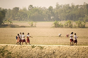Schoolgirls walk along a dyke on the edge of the Sunderbans (Sundarbans) National Park Schoolgirls walk along a dyke on the edge of the Sunderbans (Sundarbans) National Park