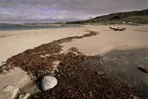 Mellon Udrigle Gallery: Seaweed on beach