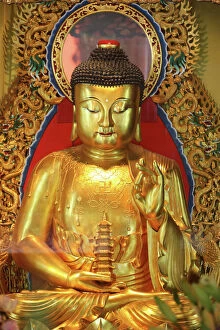 Related Images Collection: Shakyamuni Buddha statue in Main Hall, Po Lin Monastery, Tung Chung, Hong Kong