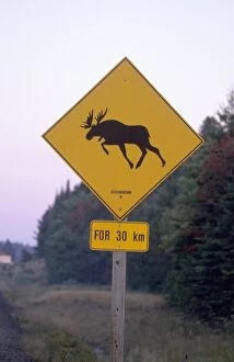 Sign, Moose crossing the road, Algonquin Provincial Park, Ontario, Canada, North America