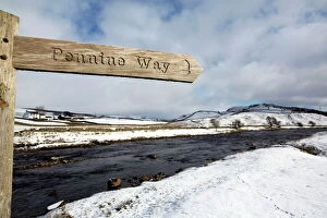 Images Dated 14th February 2016: Sign for the Pennine Way walking trail on snowy landscape by the River Tees, Upper Teesdale