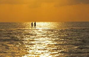 Images Dated 15th March 2010: Silhouette of couple walking on a sandbank at sunset, Maldives, Indian Ocean, Asia