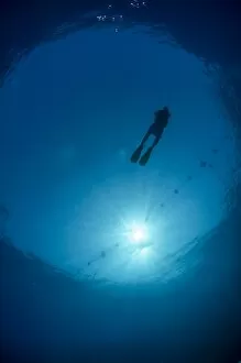 Images Dated 9th July 2011: Silhouette of one scuba diver and sunball underwater, fish eye view, Egypt, North Africa, Africa