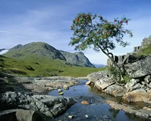 Stream Collection: The Three Sisters of Glencoe