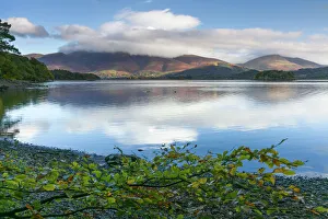 Skiddaw and Blencathra fells from Borrowdale, Derwent Water, Lake District National Park Skiddaw and Blencathra fells from Borrowdale, Derwent Water, Lake District National Park