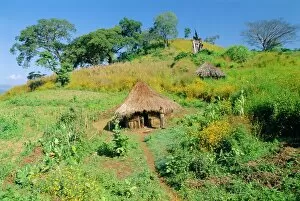 Related Images Collection: Small farm in the Metu region, Ethiopia, Africa