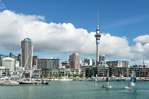 Auckland Gallery: Small sailboats cruise in Auckland harbour in front of the city skyline, Auckland