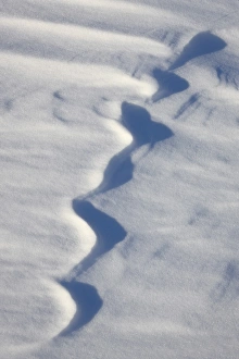 Snow forms, Bosque del Apache National Wildlife Refuge, New Mexico Snow forms, Bosque del Apache National Wildlife Refuge, New Mexico