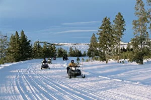 Entertainment Gallery: Snowmobiling in the western area of Yellowstone National Park