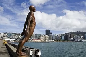 Images Dated 3rd March 2011: Solace in the Wind by Max Patte, Wellington, North Island, New Zealand, Pacific