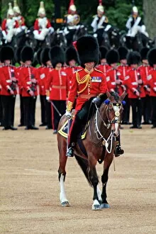 Images Dated 16th June 2012: Soldiers at Trooping the Colour 2012, The Queens Birthday Parade, Horse Guards, Whitehall, London
