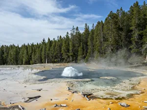 Solitary Geyser, in the Norris Geyser Basin area, Yellowstone National Park Solitary Geyser, in the Norris Geyser Basin area, Yellowstone National Park