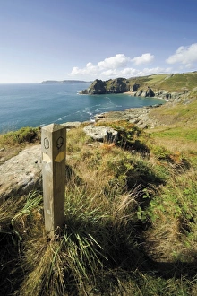 South West Devon coastal footpath approaching Gammon Head, Prawle Point South West Devon coastal footpath approaching Gammon Head, Prawle Point